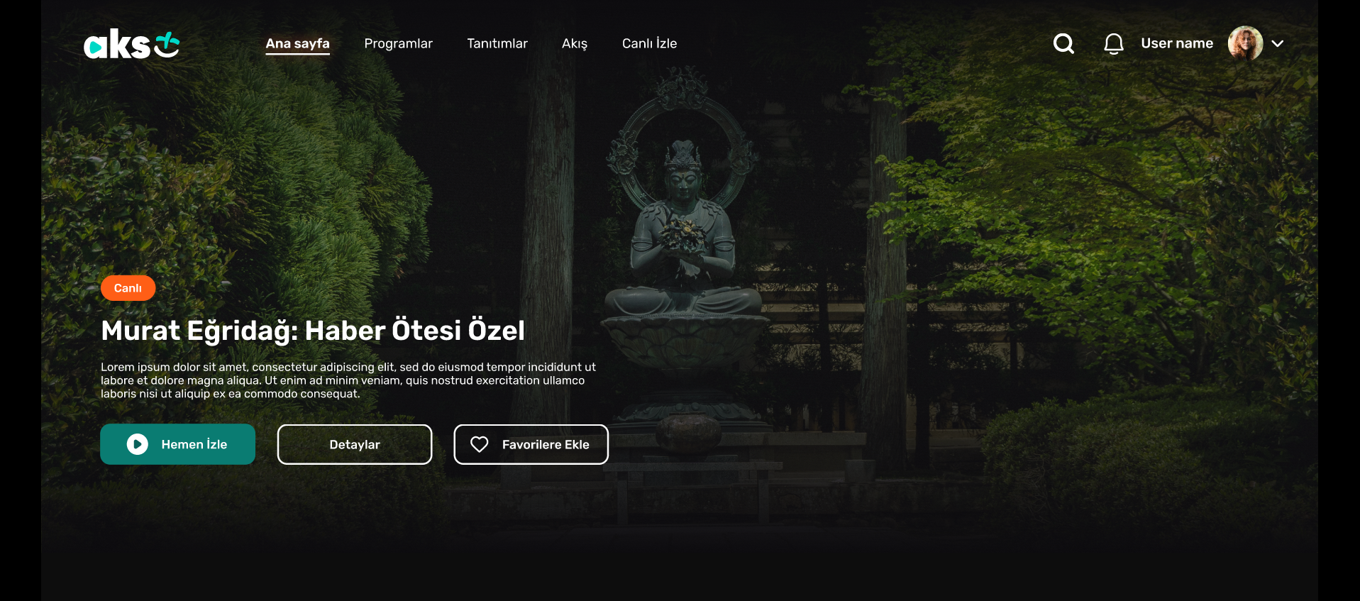 Project screenshot
