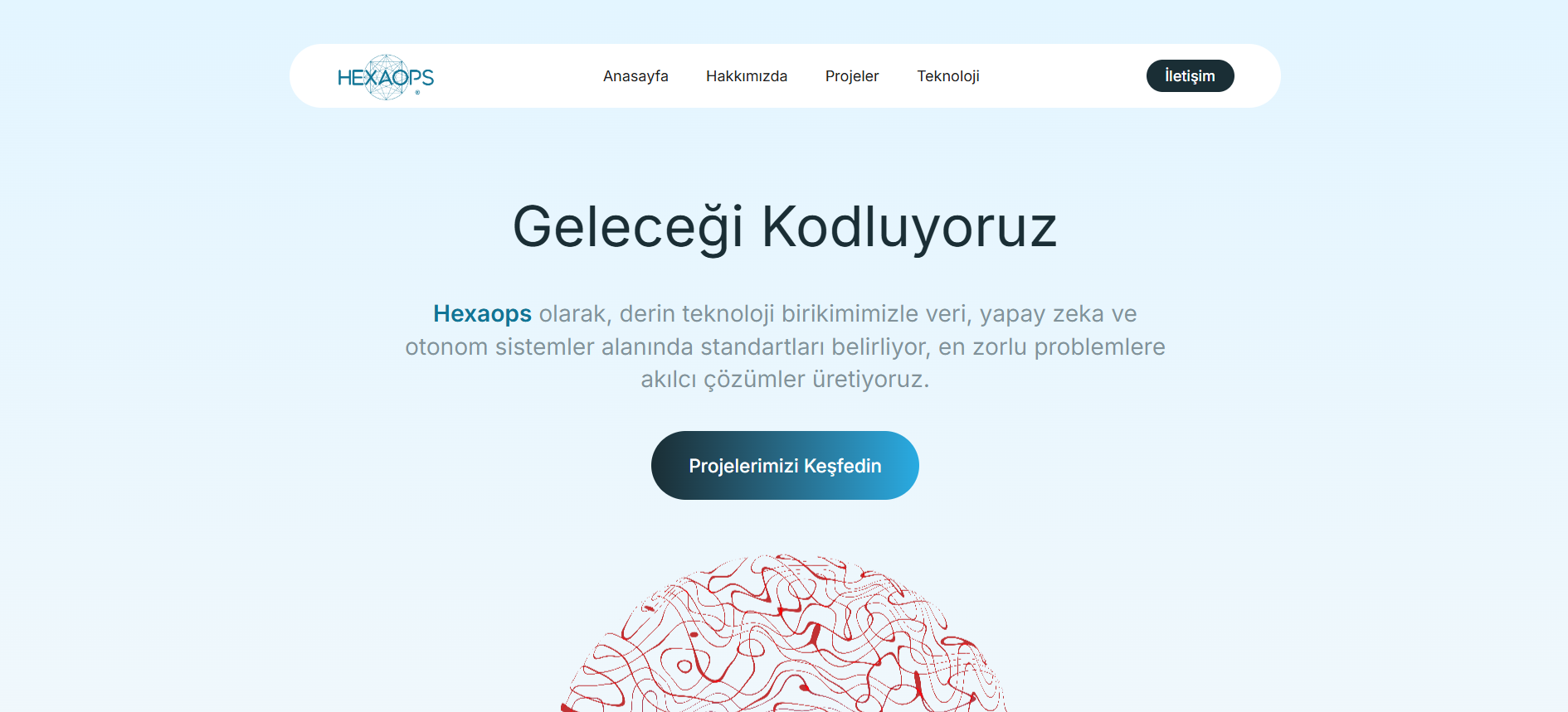 Project screenshot